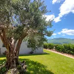 La Casa Del Fungo Montalto Uffugo
