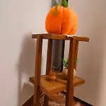 La Casa Del Fungo