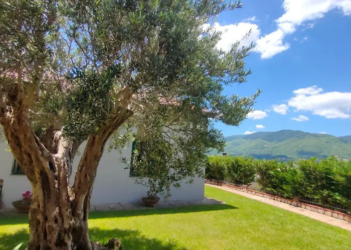 La Casa Del Fungo 蒙塔尔托乌富戈