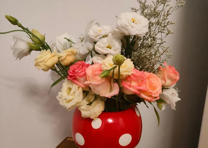 度假居 La Casa Del Fungo *