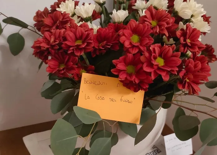 La Casa Del Fungo 蒙塔尔托乌富戈